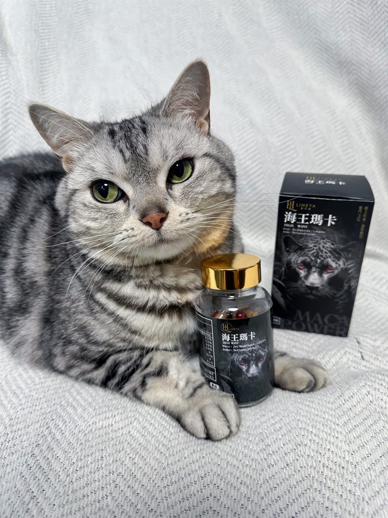 女人知己試用大隊,口碑行銷,部落客行銷,LIHEYA High Want海王瑪卡膠囊,LIHEYA海王瑪卡膠囊,專利Macapro,專利紅莧菜,專利黑胡椒鹼,輔酶Q10,NMN,鹿茸,精氨酸,提升戰鬥力,增強體力,提升運動表現,增加性福感,威猛保健,調節生理機能,幫助睡眠,提升孕力,調理品質,提升耐力